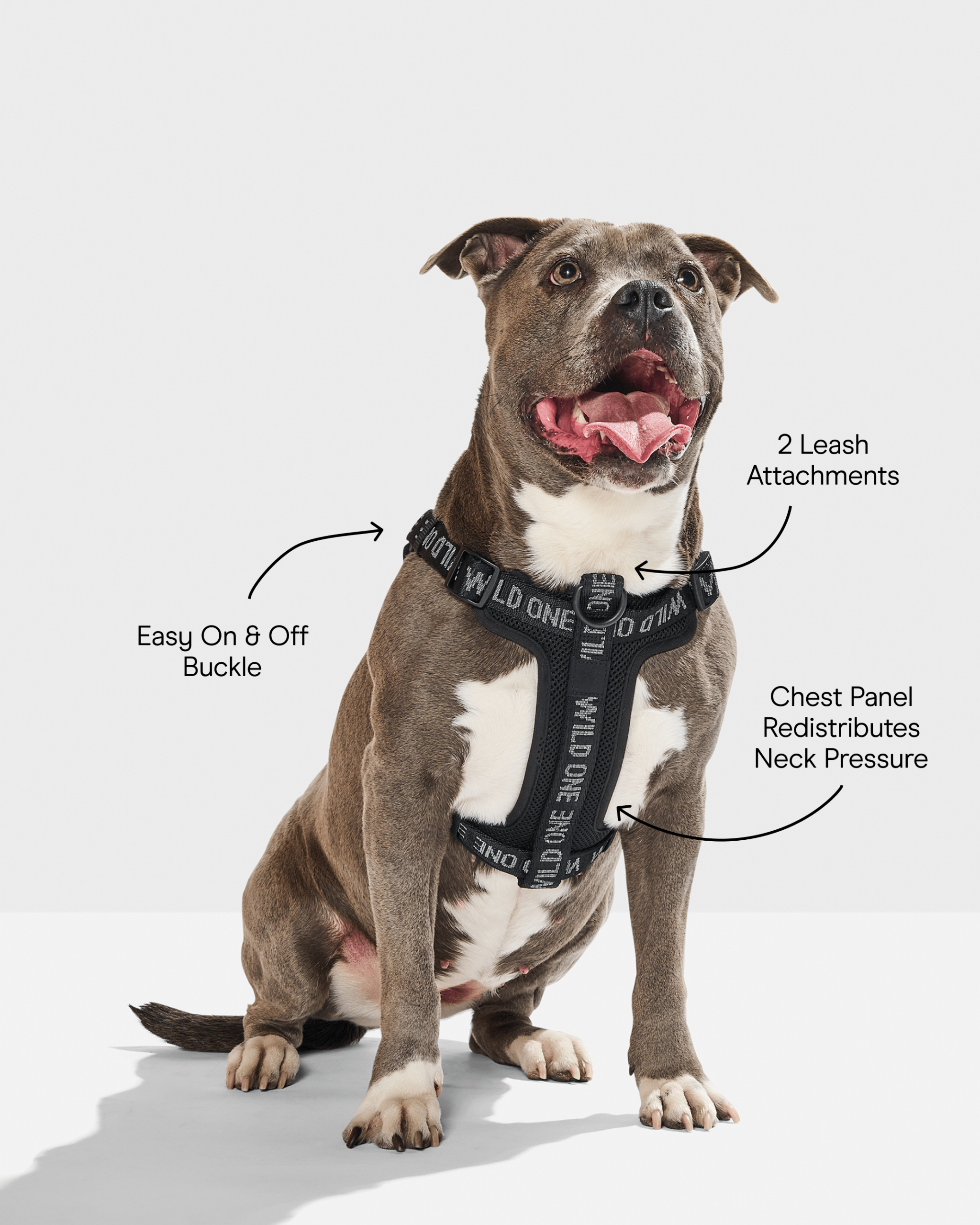 WO_Infographic_StepInHarness_Black.png