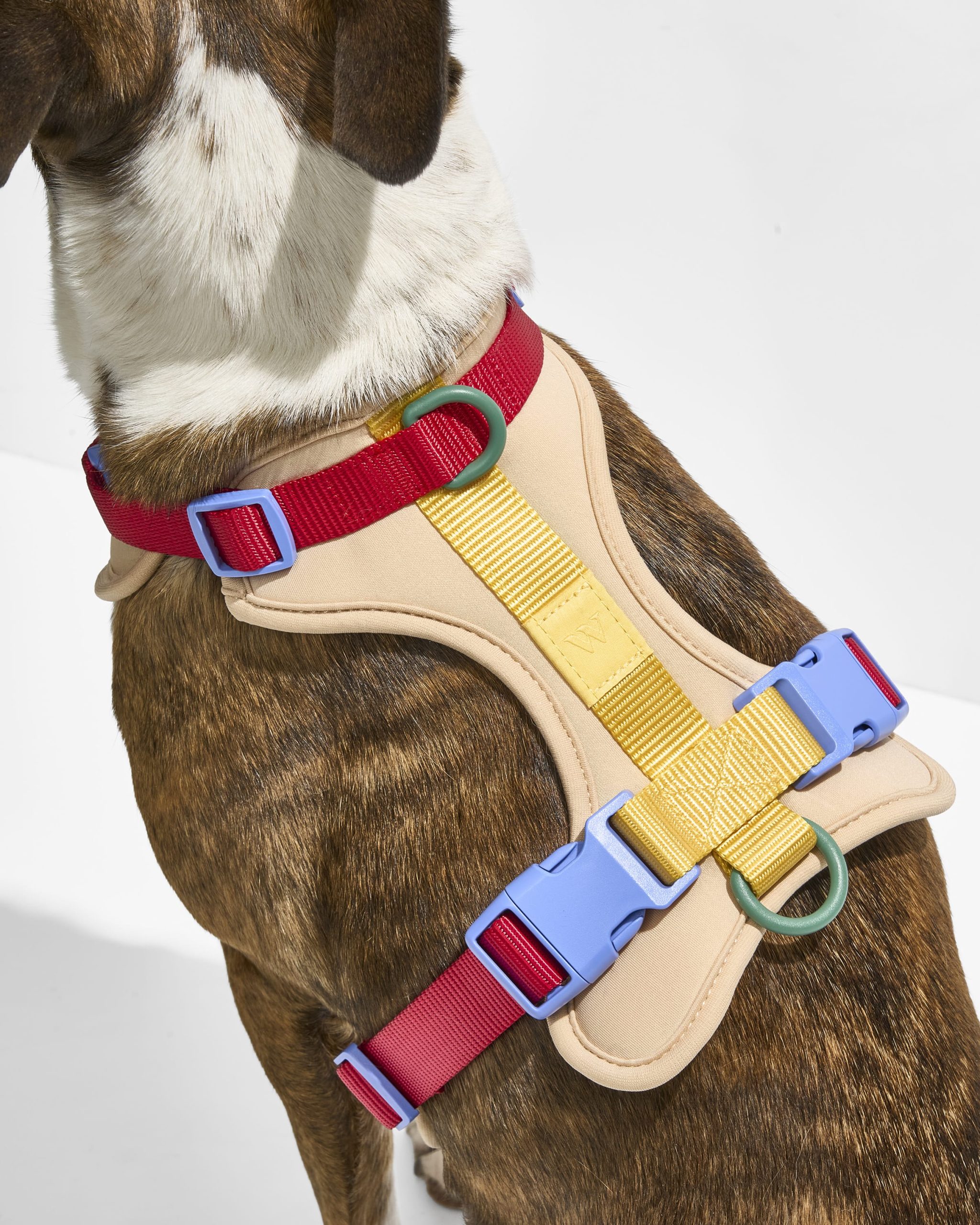 WO_VM_Harness_Retro_OnDog_PDP_03_4x5_Web_4f89b2e3-5f82-40d0-8f4e-30299ce42a2b.jpg