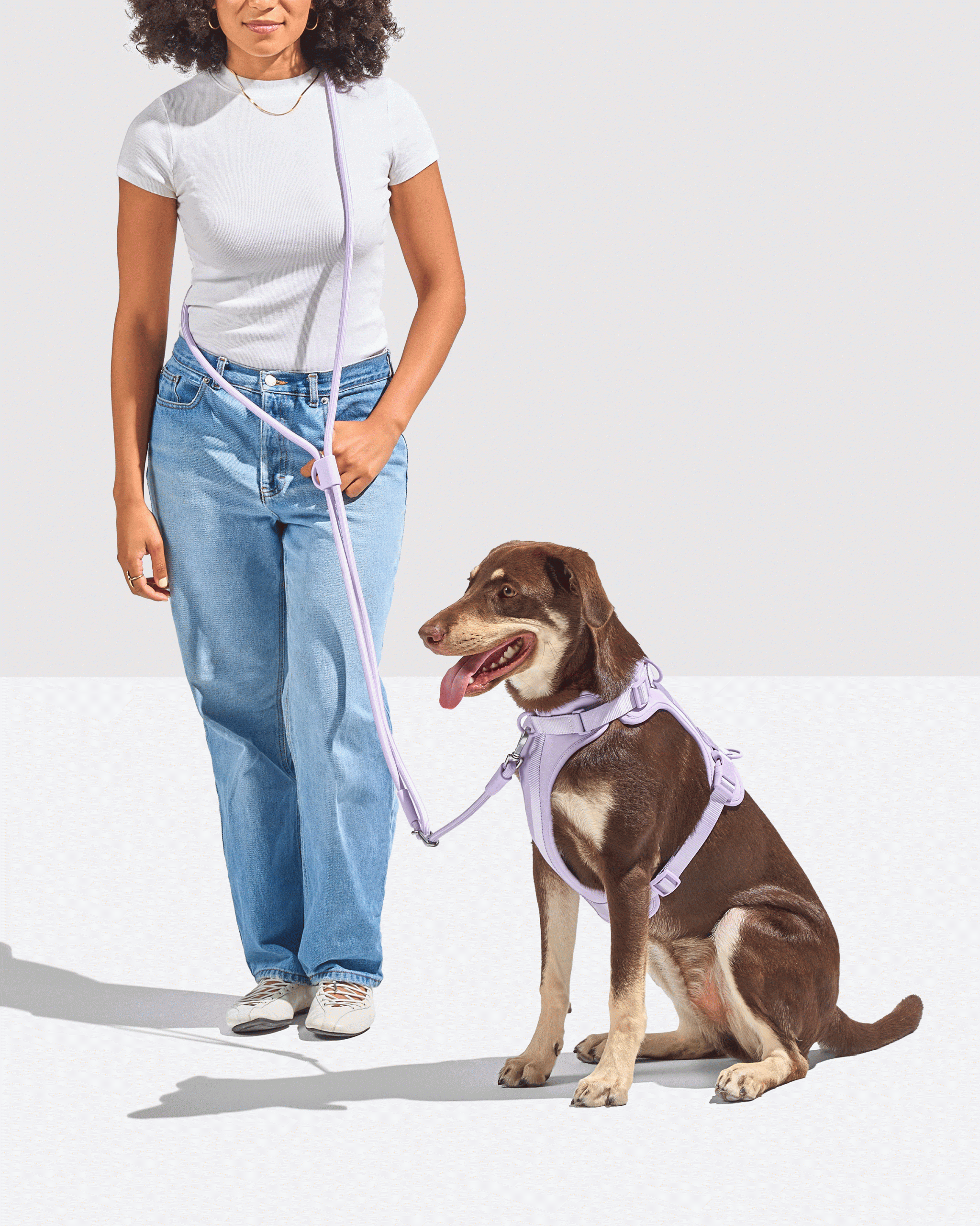 WO_VM_RopeLeash_WalkKitHarness_Lilac_OnDog_PDP_WayToWear_4x5_GIF.gif