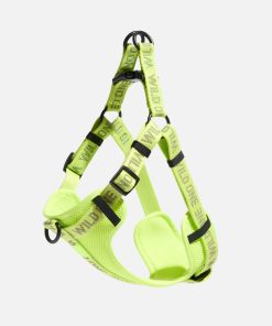 Step-In Dog Harness