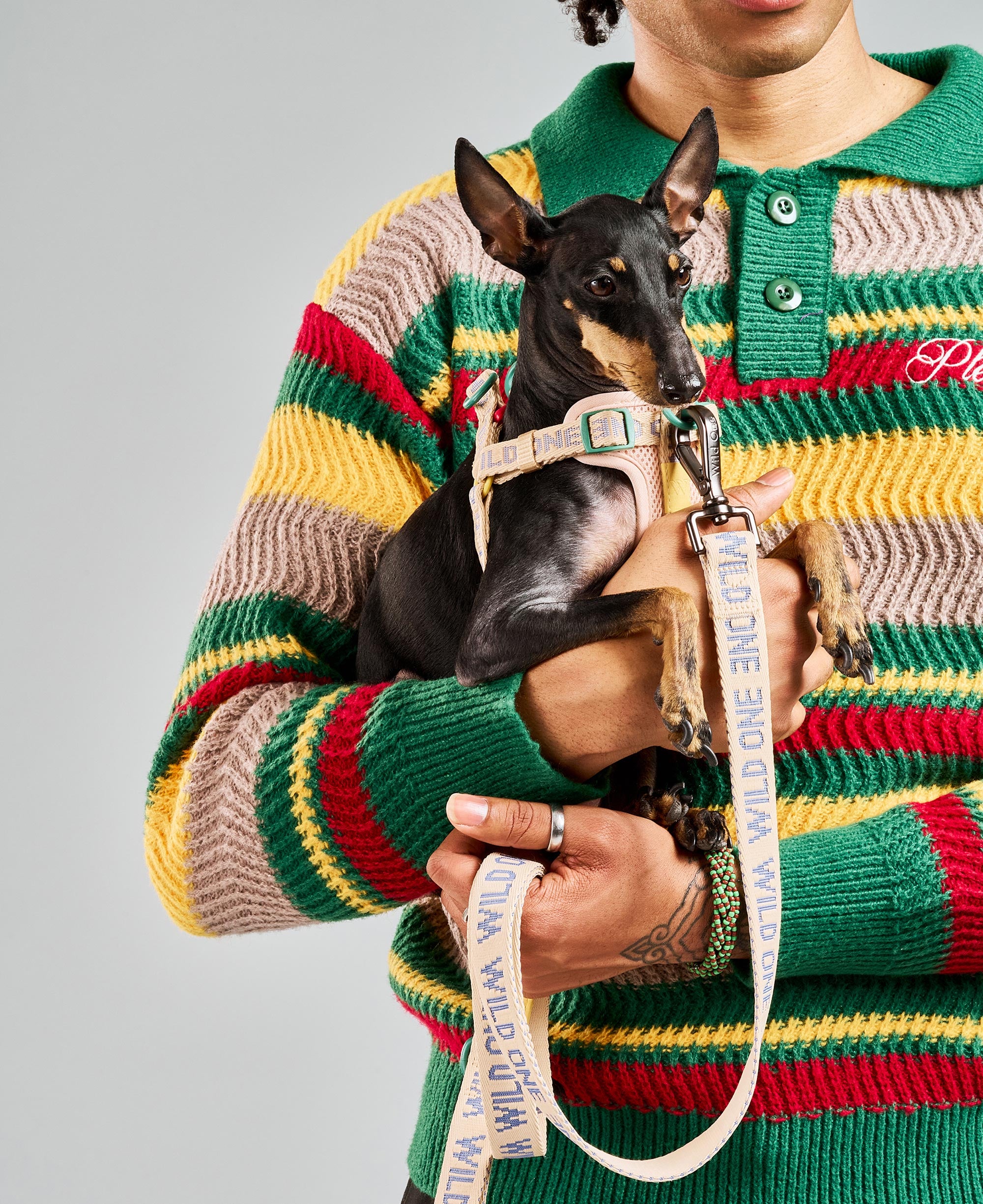 WO_VM_StepInHarness_Leash_Retro_AirCollection_Campaign_02_4x5_Web_6fb66e1a-d3a9-456b-8f8f-1f053b98a596.jpg