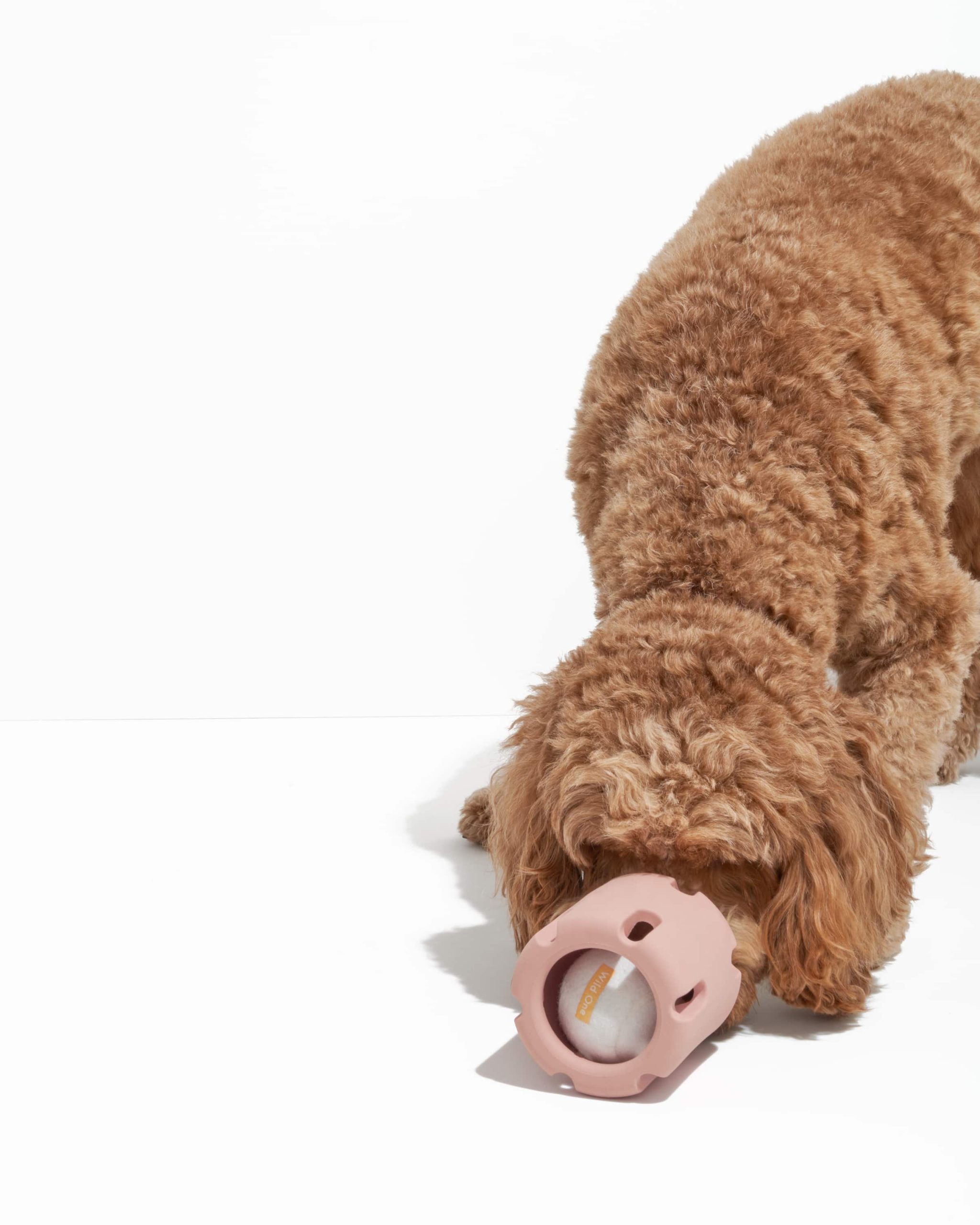 WO_VM_Studio_PDP_Toys_TennisTumble_Blush_Dog_03_4x5_Web.jpg