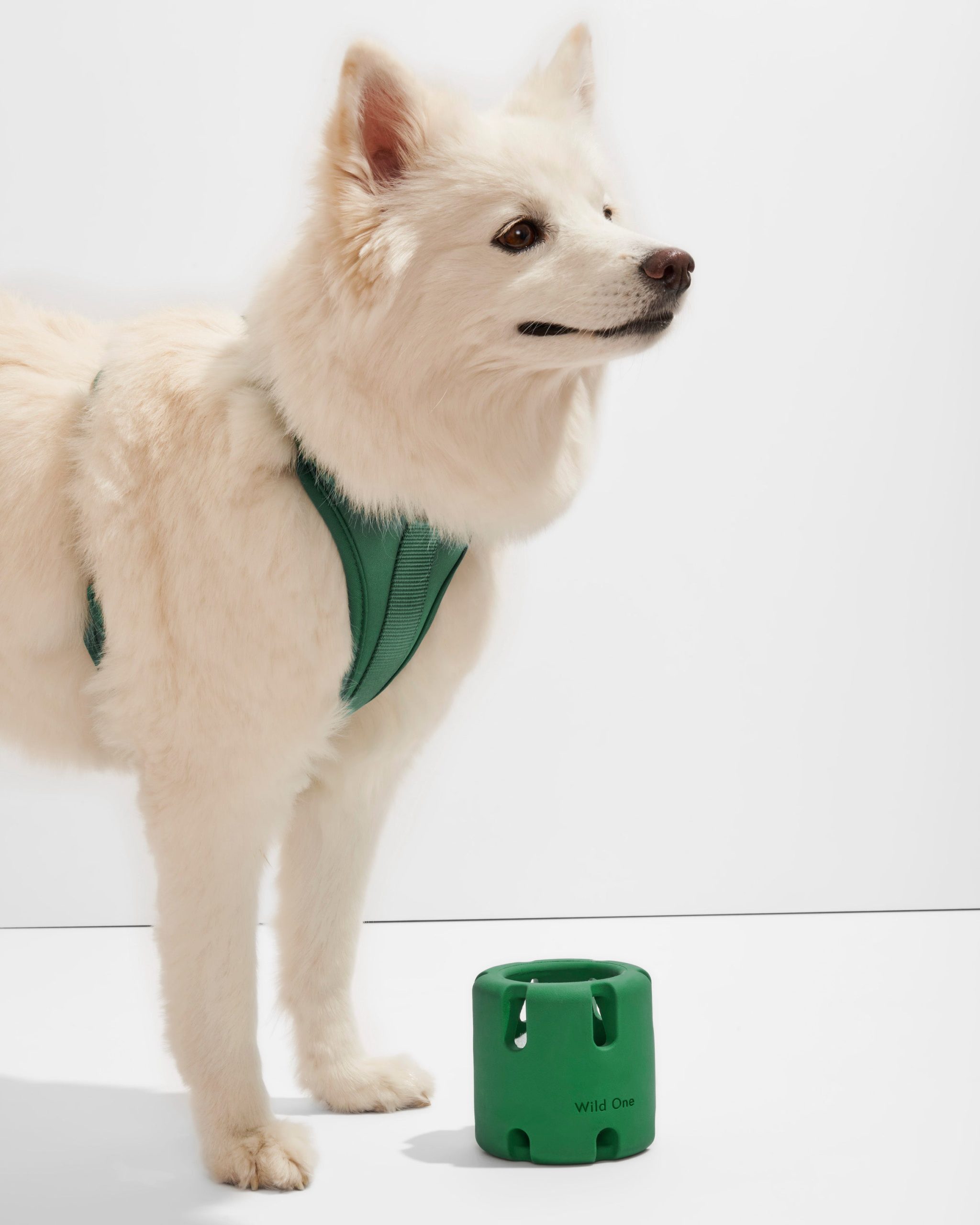 WO_VM_Studio_PDP_Toys_TennisTumble_Spruce_Dog_02.jpg