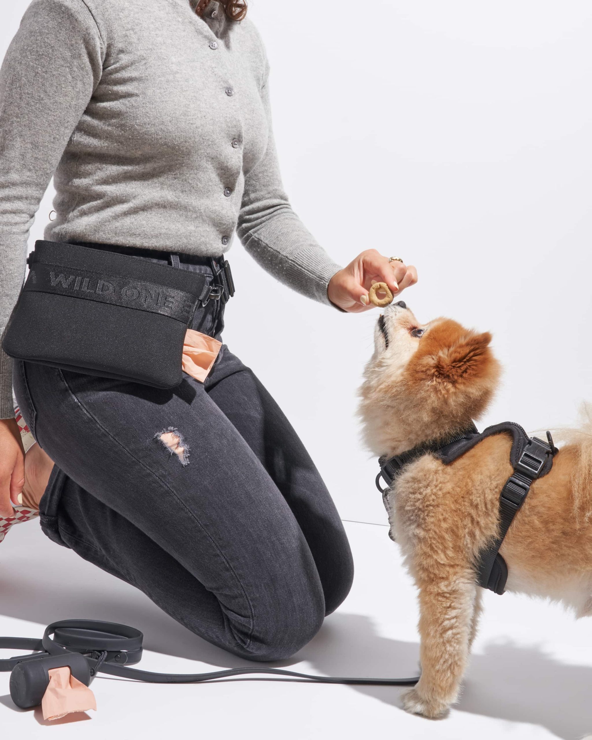 WO_VM_Studio_TreatPouch_Black_Dog_05_4x5_Web.jpg