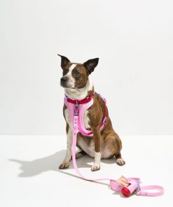 Cushioned Harness + Waterproof Leash Walk Kit