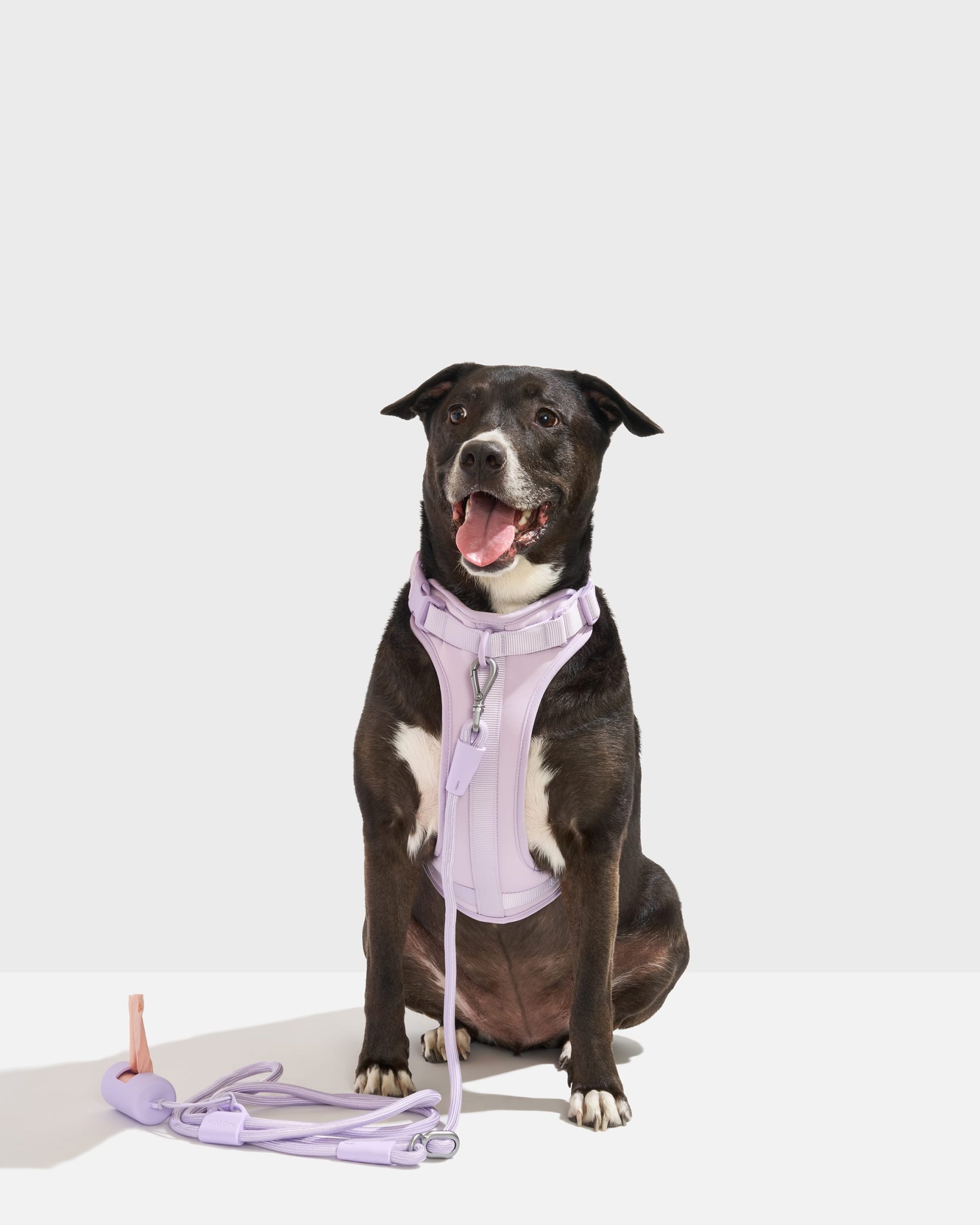 WO_VM_WalkKitHarness_RopeLeash_ClassicHarness_Lilac_L_Dog_PDP_01_4x5_Web.jpg