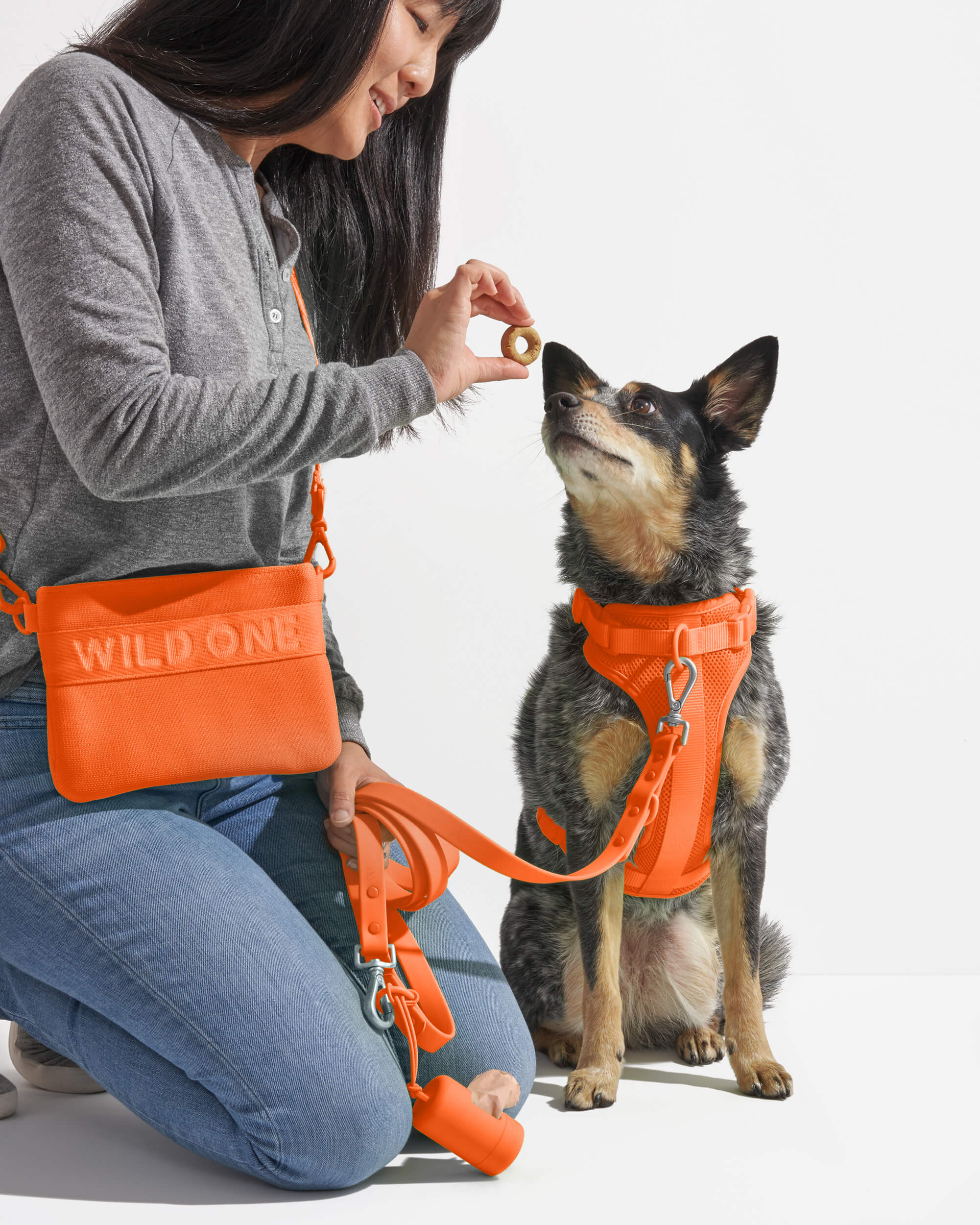 WO_VM_WalkKitHarness_TreatPouch_Blaze_Dog_PDP_01_4x5_Web.jpg