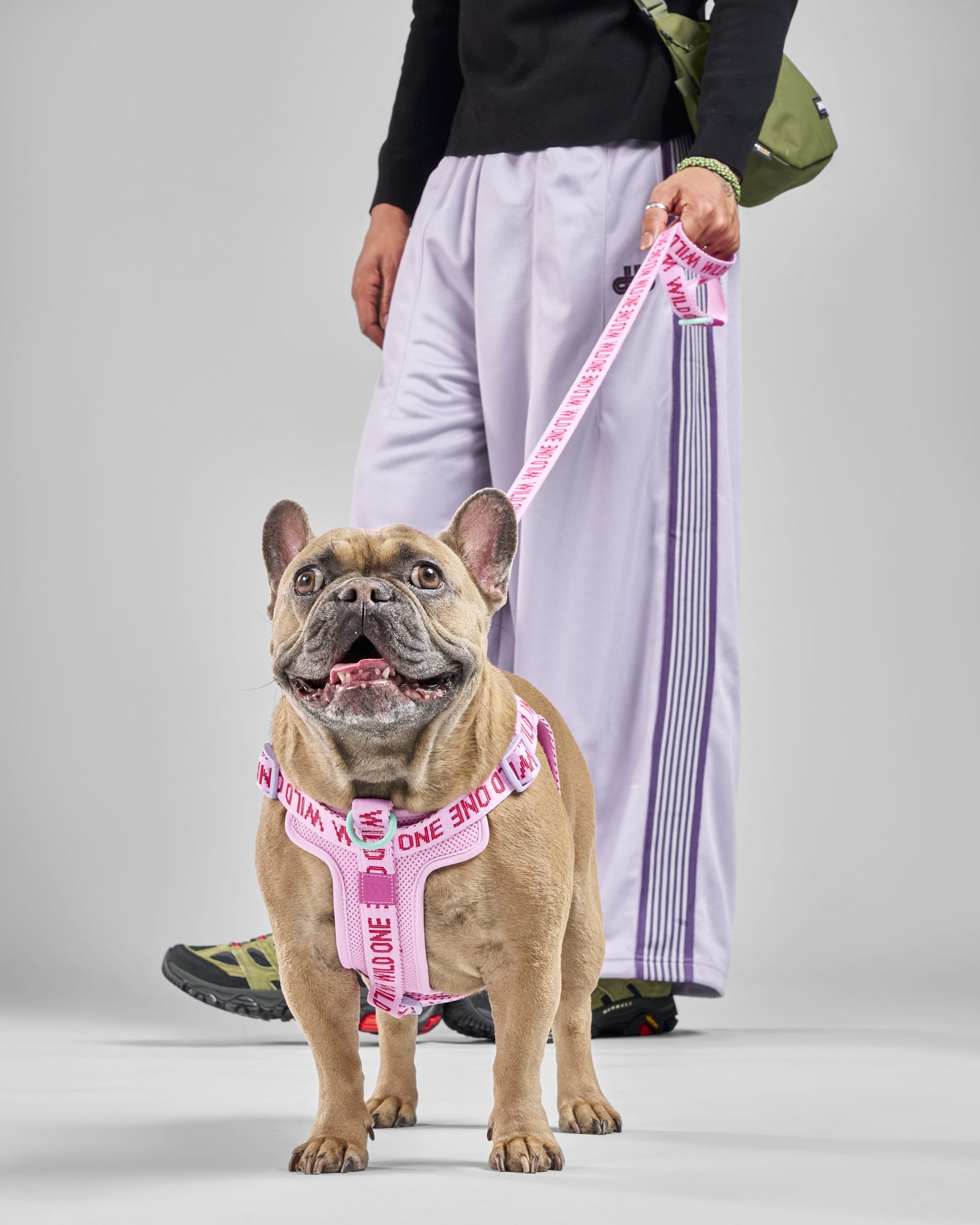 WO_VM_WalkKitStepInHarness_Bubblegum_AirCollection_Campaign_01_4x5_Web_1.jpg