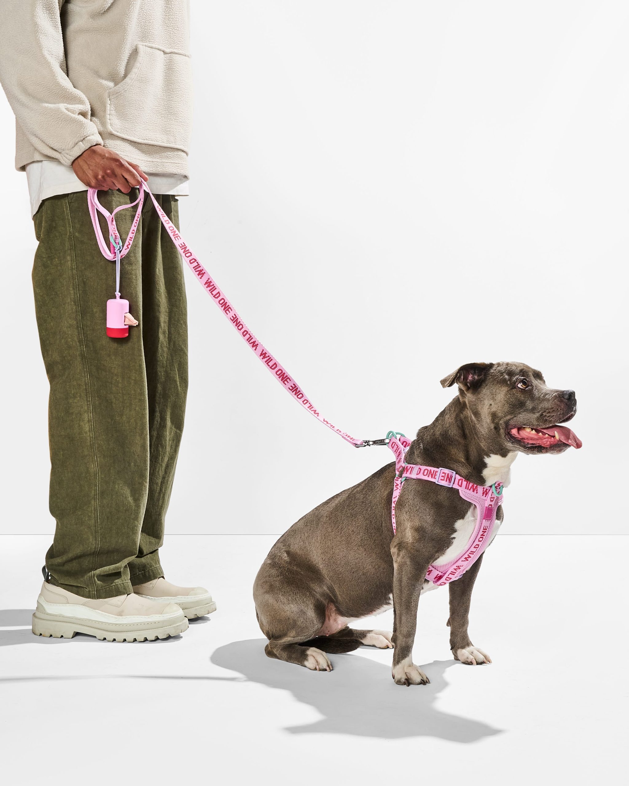 WO_VM_WalkKitStepInHarness_Bubblegum_OnDog_AirCollection_PDP_01_4x5_Web.jpg