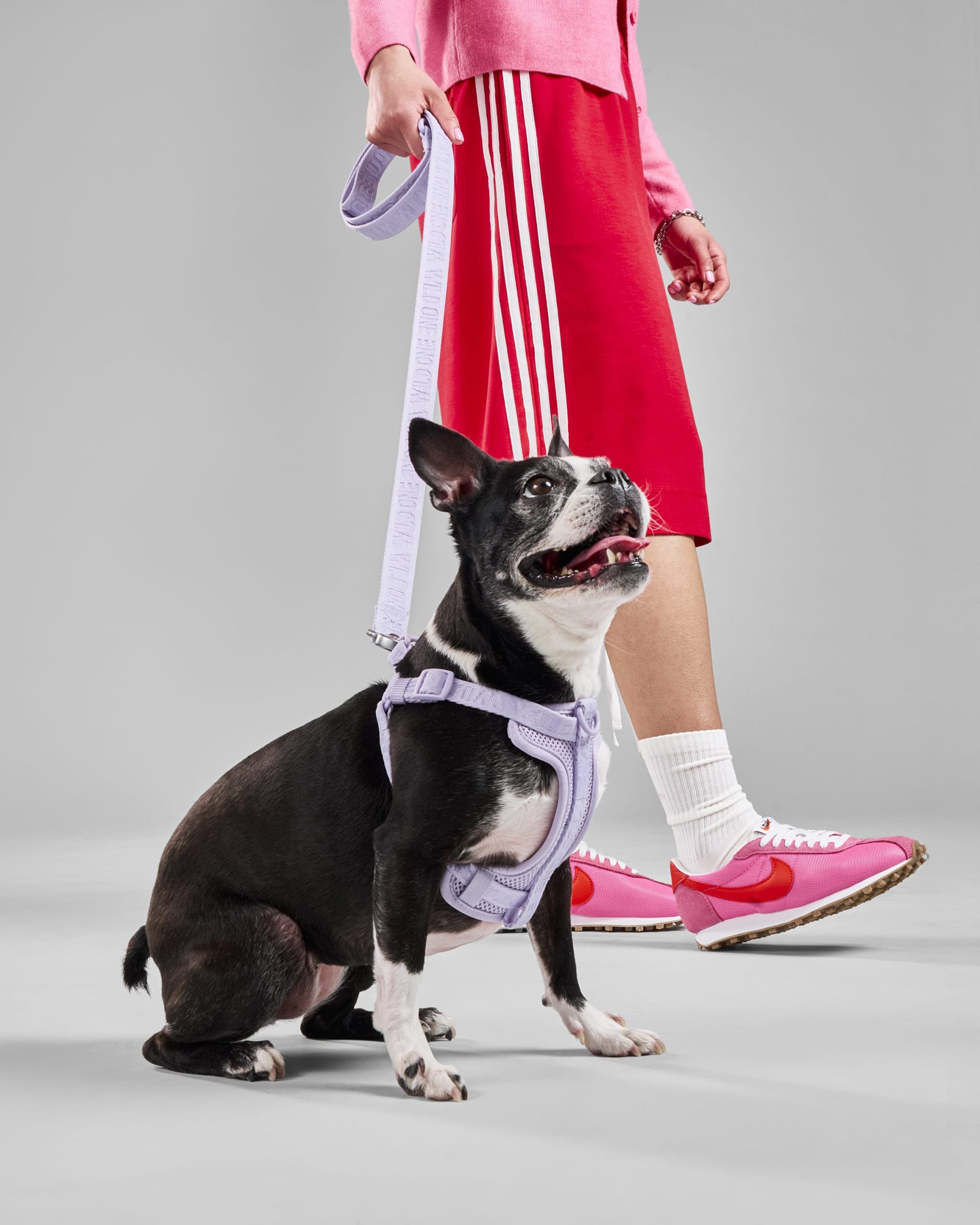 WO_VM_WalkKitStepInHarness_Lilac_AirCollection_Campaign_01_4x5_Web_2.jpg