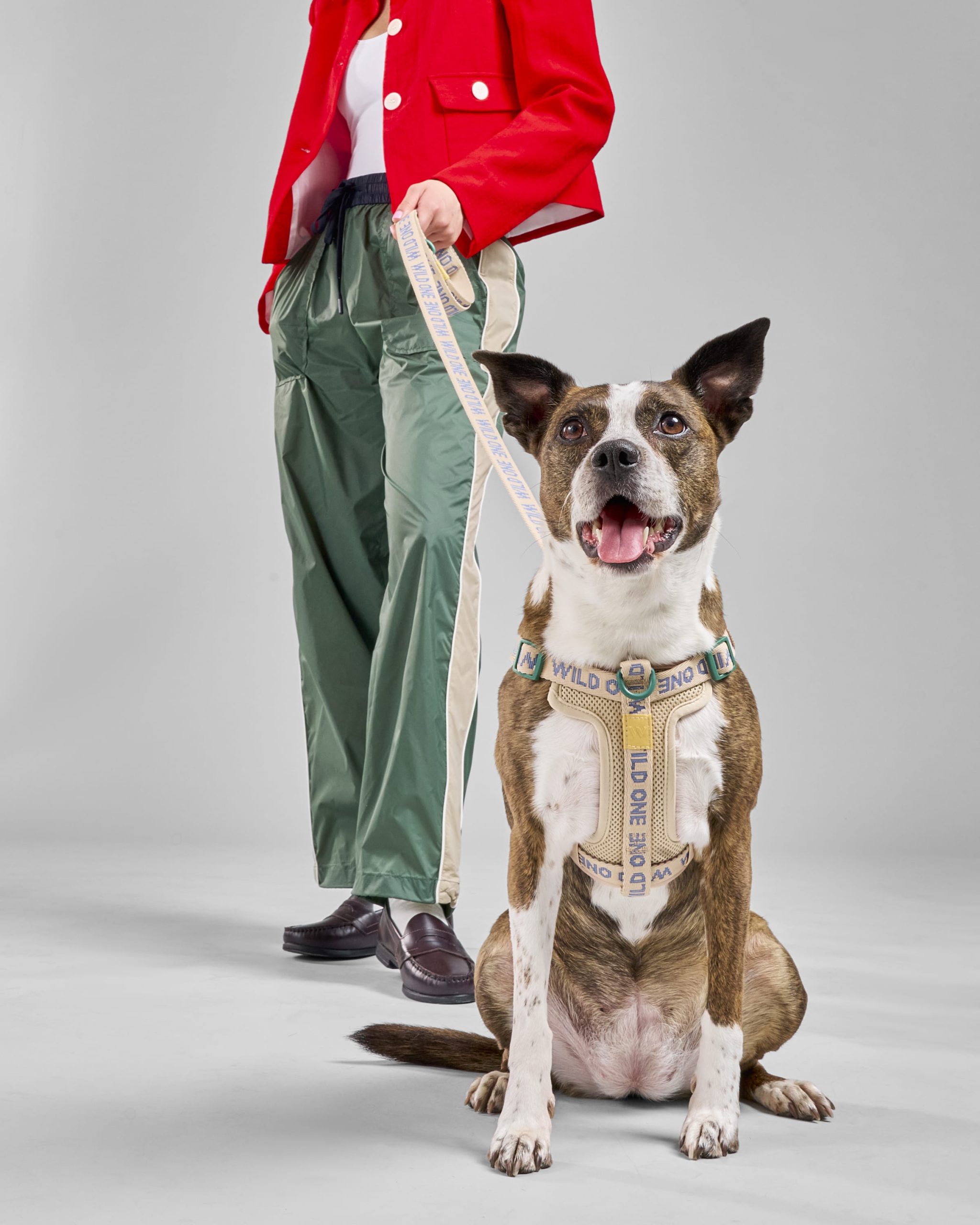 WO_VM_WalkKitStepInHarness_Retro_AirCollection_Campaign_01_4x5_Web_1.jpg
