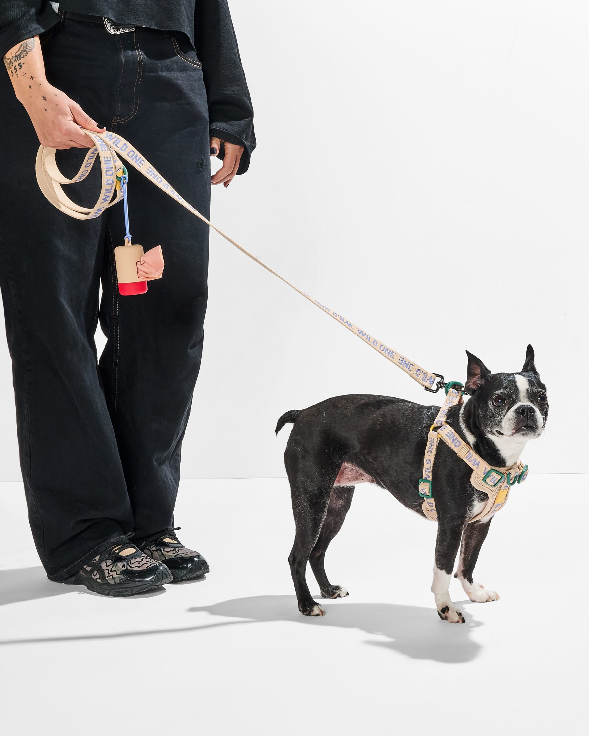 WO_VM_WalkKitStepInHarness_Retro_OnDog_AirCollection_PDP_03_4x5_Web.jpg