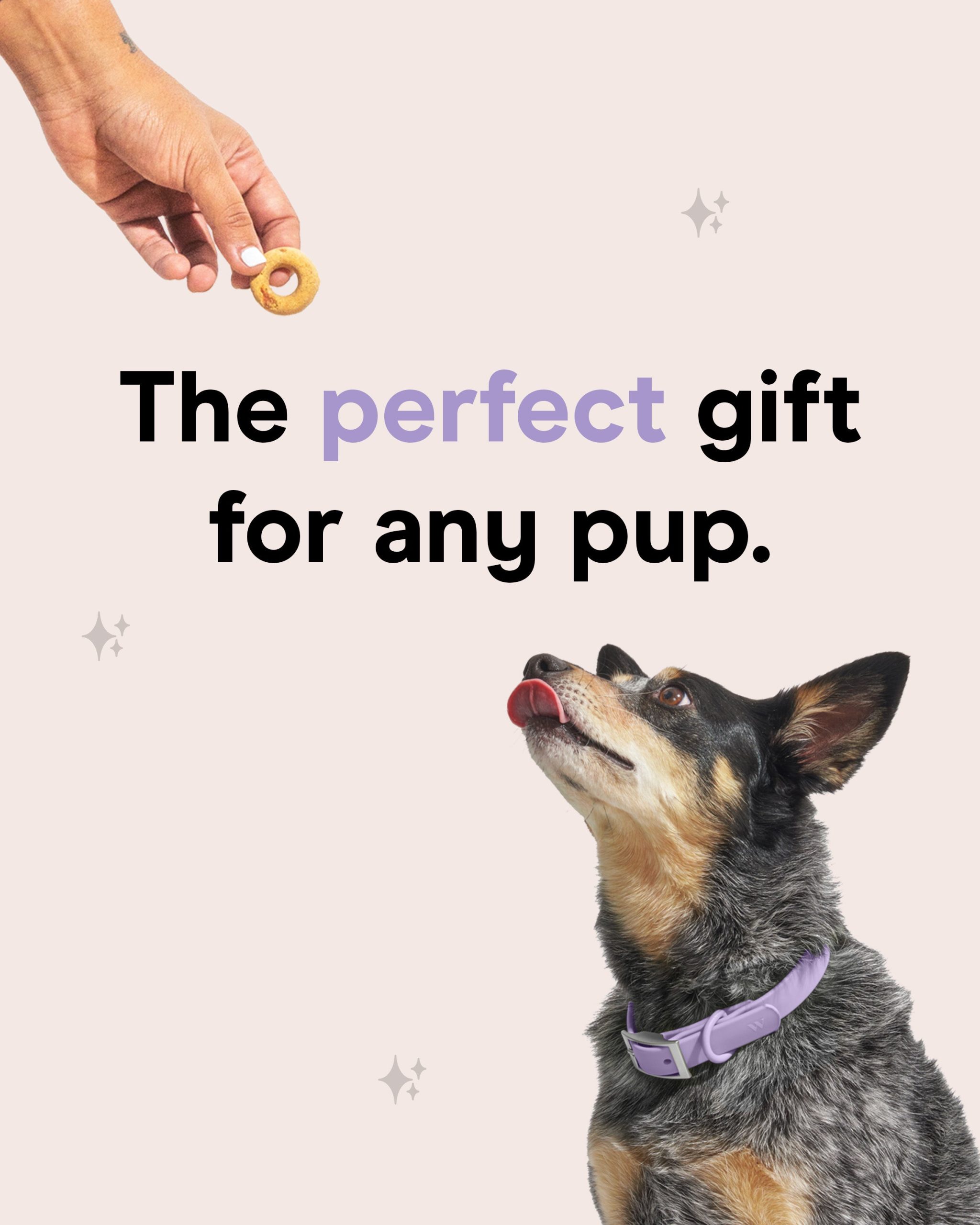 WO_Web_01_18_GiftCardCondirmation_v2_2.jpg